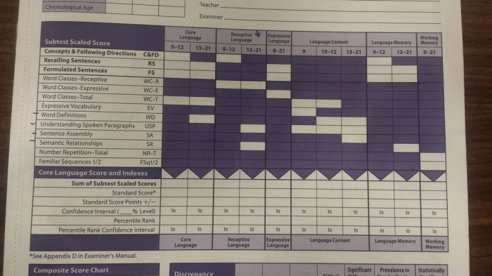 Subtests of the celf 5