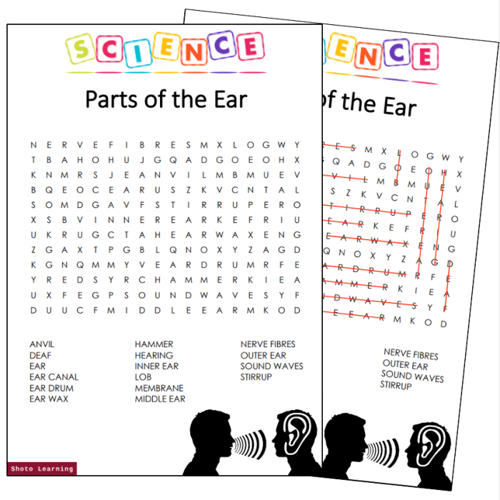 Part of an ear crossword