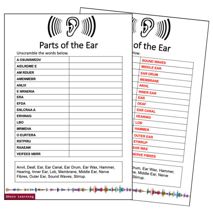 Part of an ear crossword