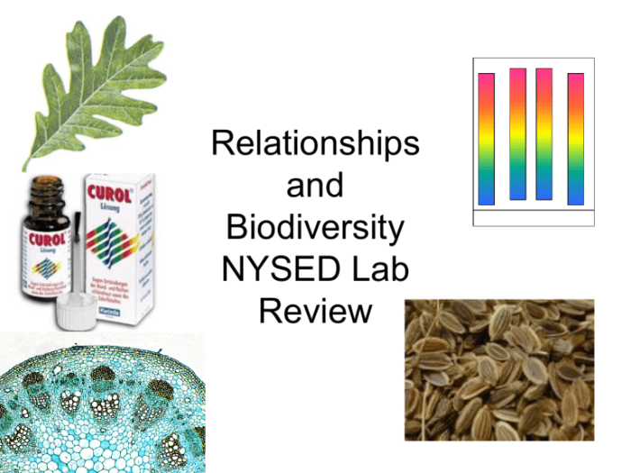 Relationship and biodiversity lab pdf