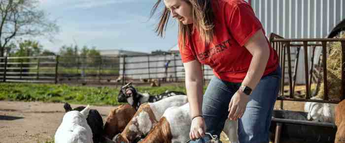 Ffa vet science cde practice test