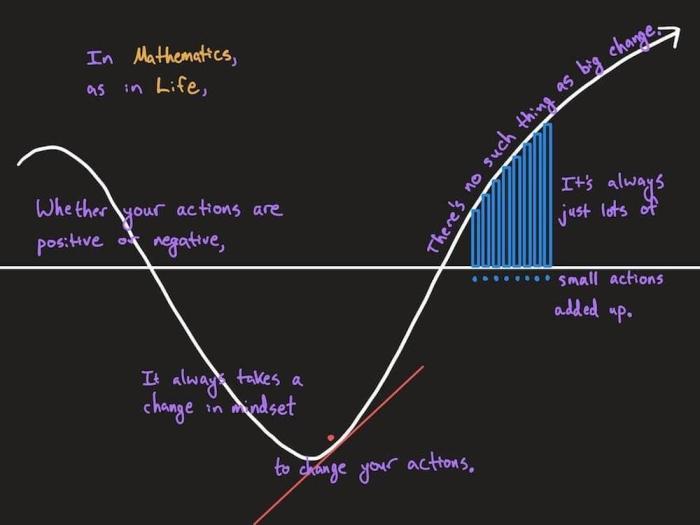 Ap calc ab unit 7 progress check mcq