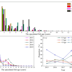 Relationship and biodiversity lab pdf