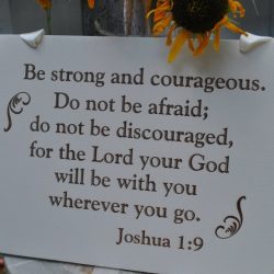 Courageous