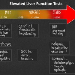 Ehlers danlos rupture syndrome type spontaneous liver iv