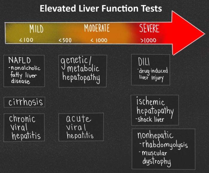 Ehlers danlos rupture syndrome type spontaneous liver iv