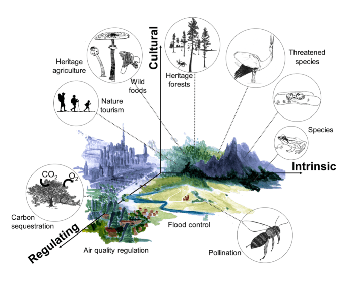 Relationship and biodiversity lab pdf