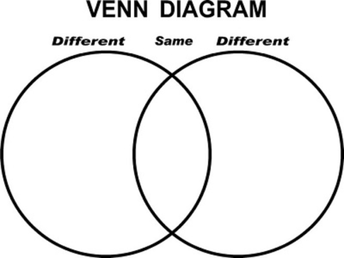 Graphic organizer similarities and differences