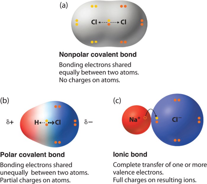 Which of the following molecules contains a nonpolar covalent bond