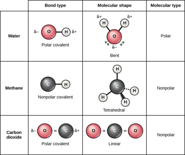 Which of the following molecules contains a nonpolar covalent bond