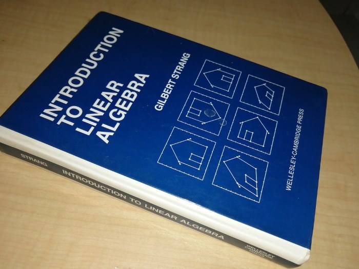 Introduction to linear algebra by gilbert strang 5th edition pdf