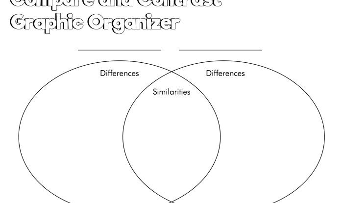 Graphic organizer similarities and differences