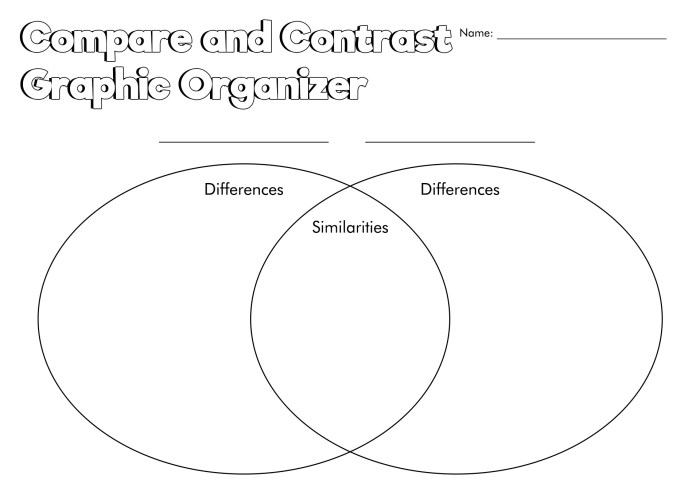 Graphic organizer similarities and differences